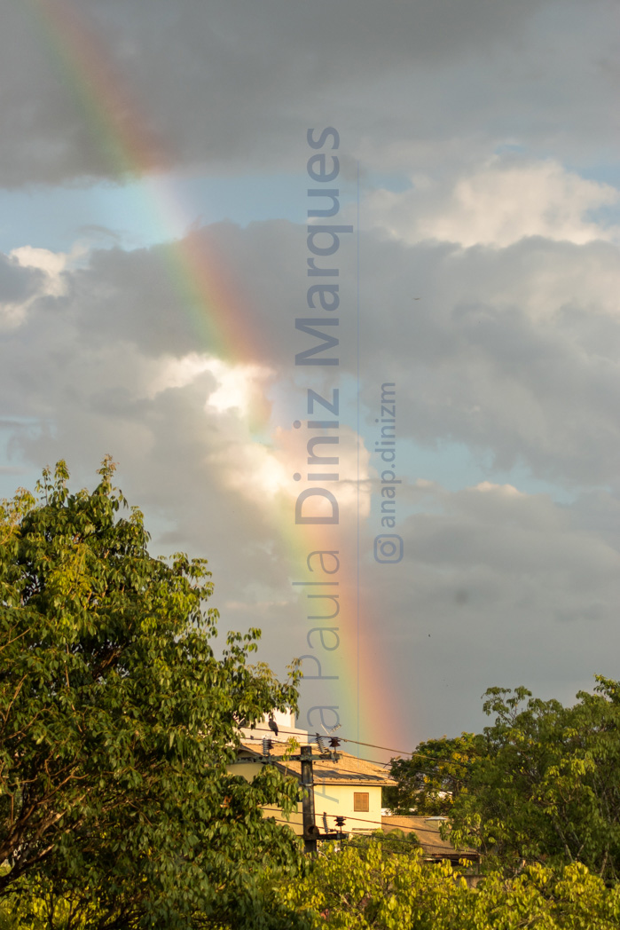 Wide view of rainbow: first picture of the sequence 